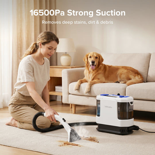 A woman kneels on a light beige rug in a living room, using a white and blue pet hair and stain remover vacuum cleaner with a hose while a golden retriever dog lies on a cream sofa in the background. Text at the top reads '16KPa Strong Suction Removes deep stains, dirt & debris'.